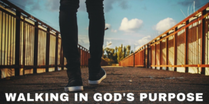 06-Oct-2024 || Walking in God’s Purpose